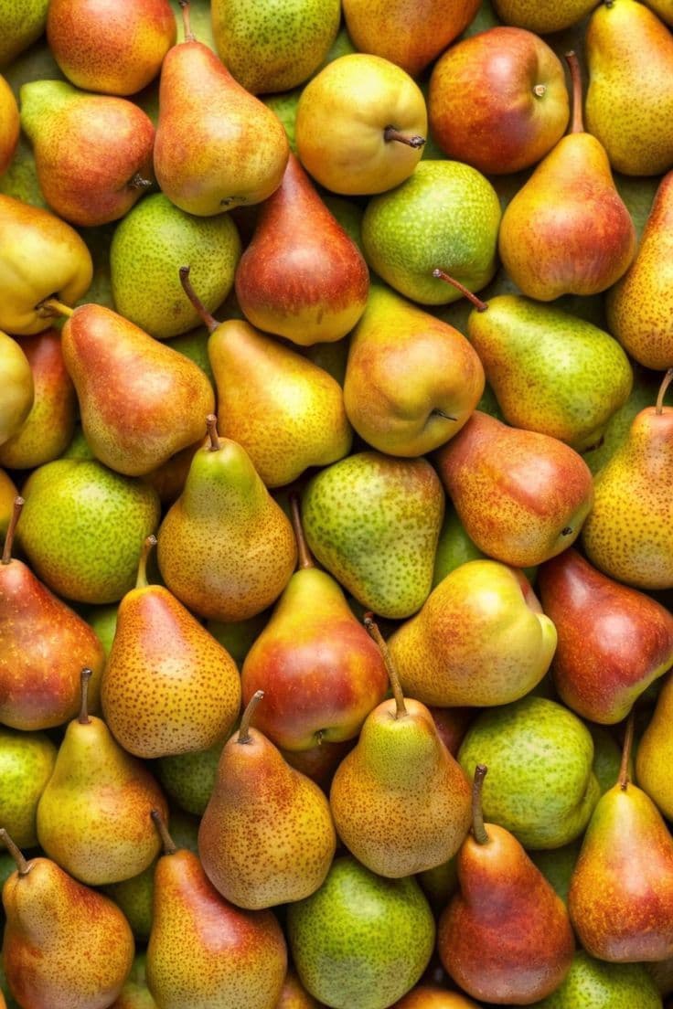 მსხალი სუპერი